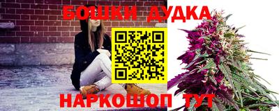 мдпв Камышлов