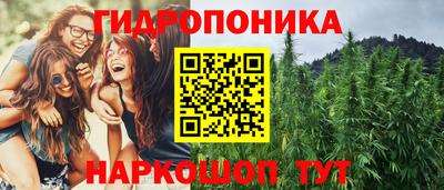 мдпв Камышлов