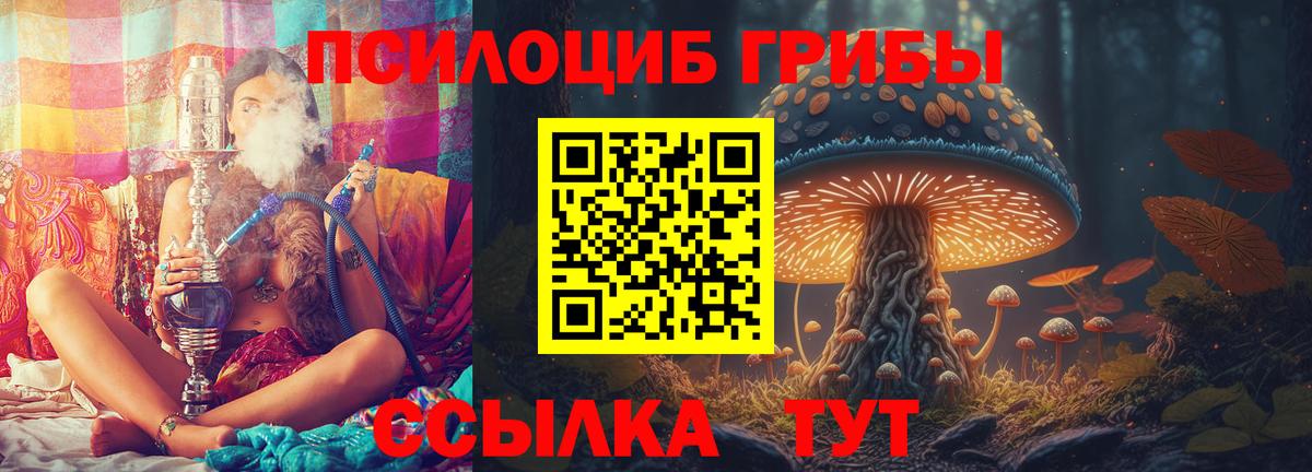 Буйнакск  Псилоцибиновые грибы ЛСД  Вход с VPN 